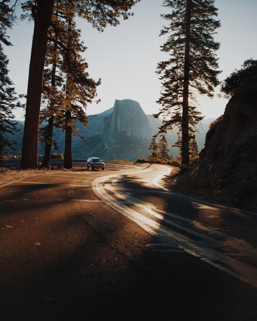 car on curve road surrounded by trees